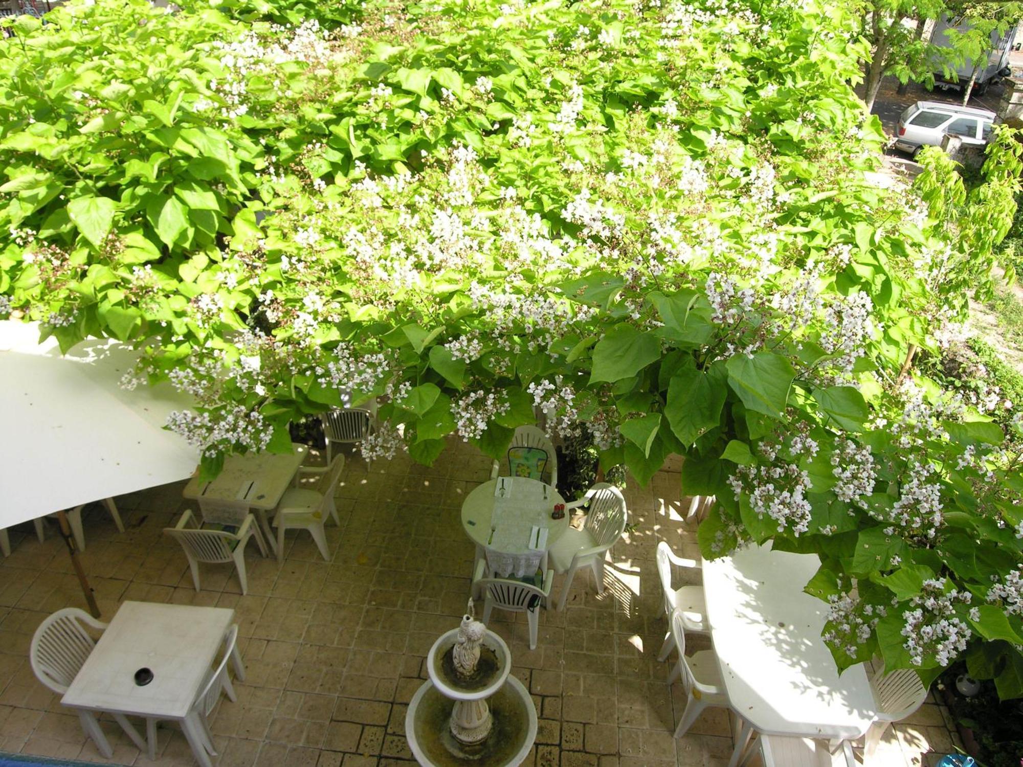Appart'Hotel Les Tilleuls Saint-Macaire Exterior foto